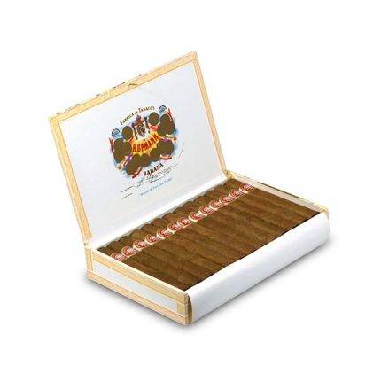 小高朗拿<br>Petit Coronas