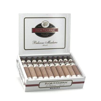 马杜罗 比利高<br>Maduro Belicoso