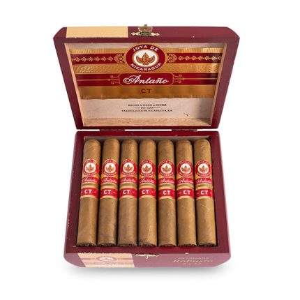 CT 罗伯图<br>Antano CT Robusto