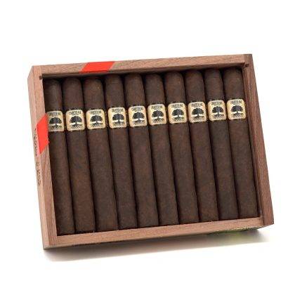 基地 宪章橡树 马杜罗 托罗华科 雪茄, Foundation Charter Oak Maduro Toro Huaco cigar, Charter Oak Maduro 雪茄, Foundation 宪章橡树 雪茄, 基地 Maduro Toro 雪茄
