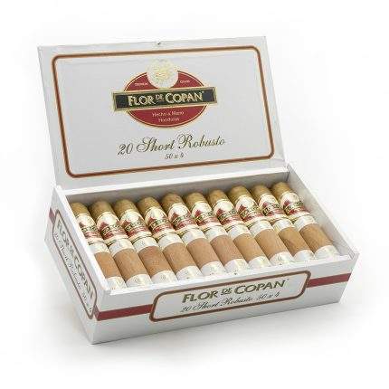 短罗伯图<br>Short Robusto