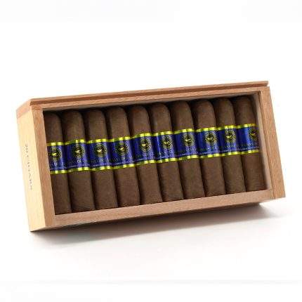布里萨斯德尔蒂西 短戈多<br>Brisas del Tisey Short Gordo