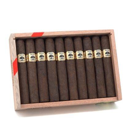 基地 宪章橡树 大马杜罗 雪茄, Foundation Charter Oak Maduro Grande cigar, Charter Oak Maduro 雪茄, Foundation Maduro cigar, 宪章橡树大马杜罗