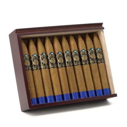 卡萨尼加 5B 鱼雷雪茄, Casa Nicaragua Five B Torpedo cigar, 5B torpedo cigar, Nicaragua cigar medium strength, Casa Nicaragua cigar