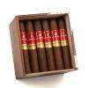 卓越 罗伯图<br>Excepcionales Robusto