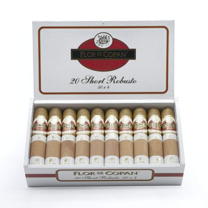 短罗伯图<br>Short Robusto - 图片 2