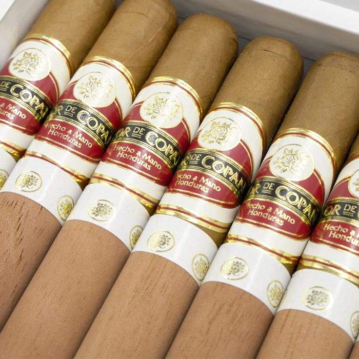 高朗拿<br>Corona - 图片 2