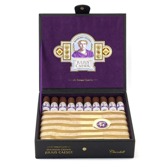 丘吉尔<br>Churchill - 图片 2