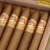 黄金系列 贵族<br>Linea Oro Nobles - 图片 2