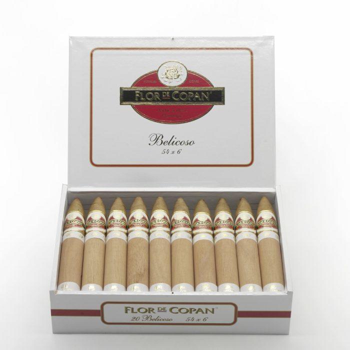 比利高<br>Belicoso - 图片 2