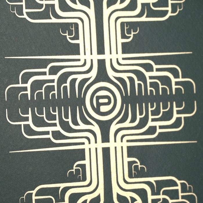 烈魂系列西斯托|科罗拉多州克拉罗<br>Alma Fuerte Sixto | Colorado Claro - 图片 3