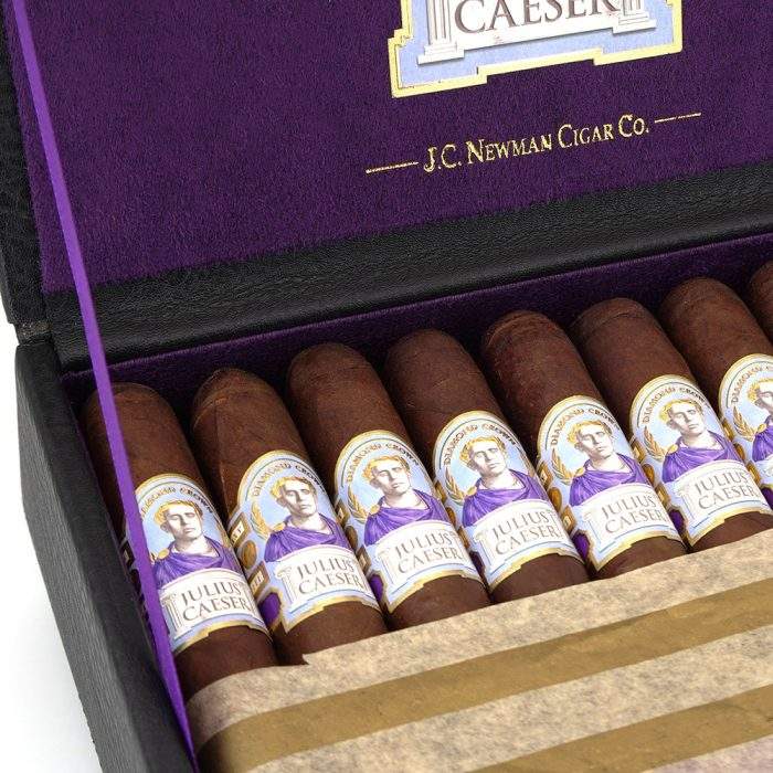 托罗<br>Toro - 图片 2