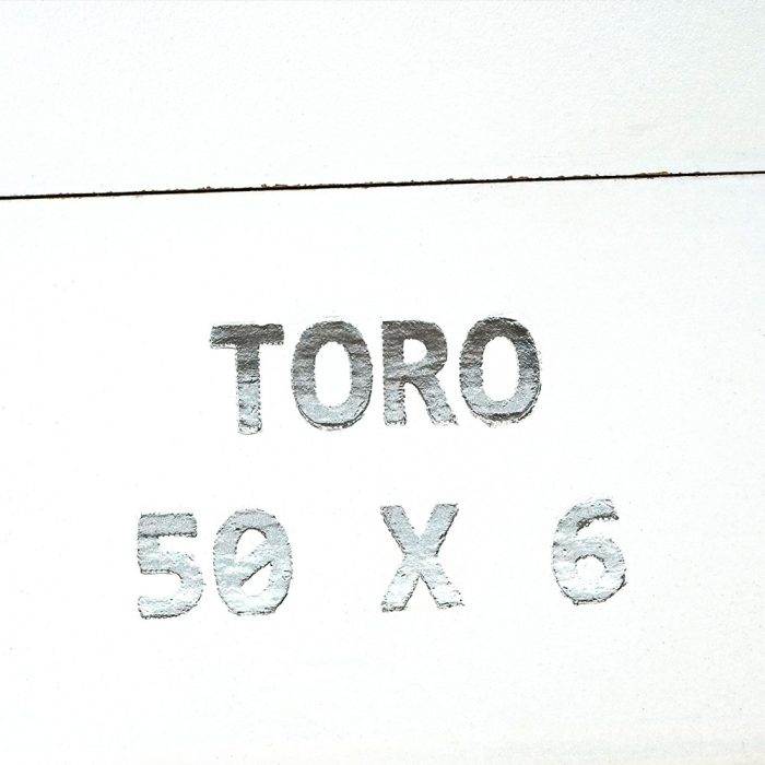 康涅狄格州 托罗<br>Connecticut Toro - 图片 2