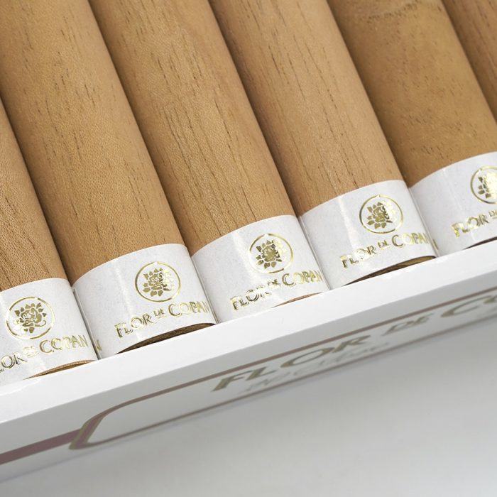 托罗<br>Toro - 图片 2