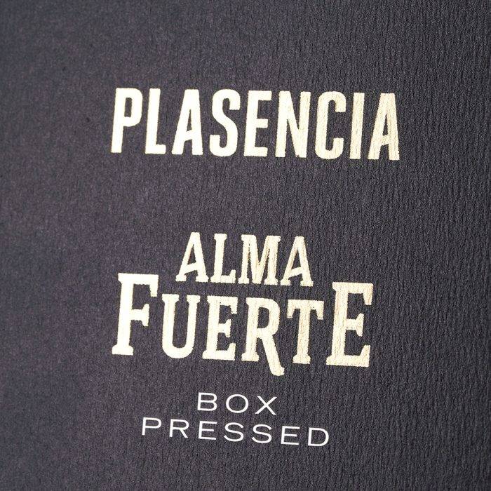 烈魂系列第五代<br>Alma Fuerte Generacion V - 图片 3