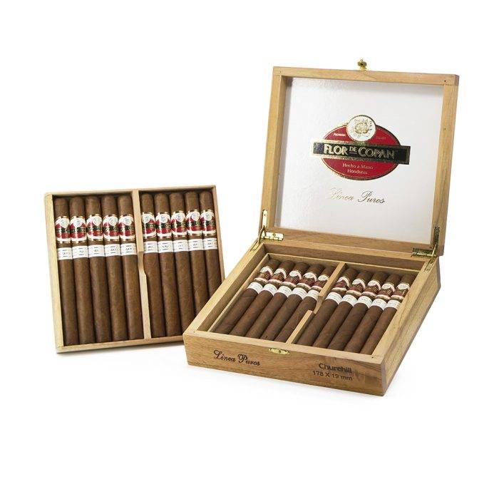 普罗丘吉尔<br>Linea Puros Churchill - 图片 2