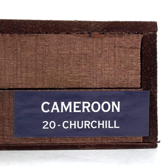 喀麦隆 丘吉尔<br>Cameroon Churchill - 图片 2