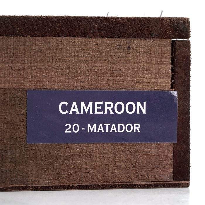 喀麦隆 斗牛士<br>Cameroon Matador - 图片 2