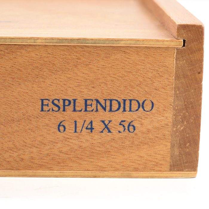 蔚蓝 导师<br>Azul Esplendido - 图片 2