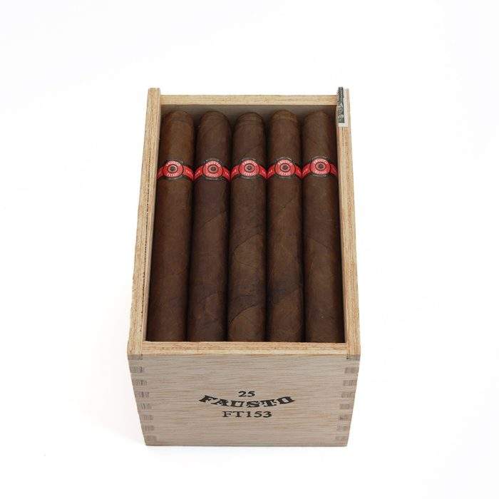 福斯图 FT 153<br>Fausto FT 153 - 图片 2