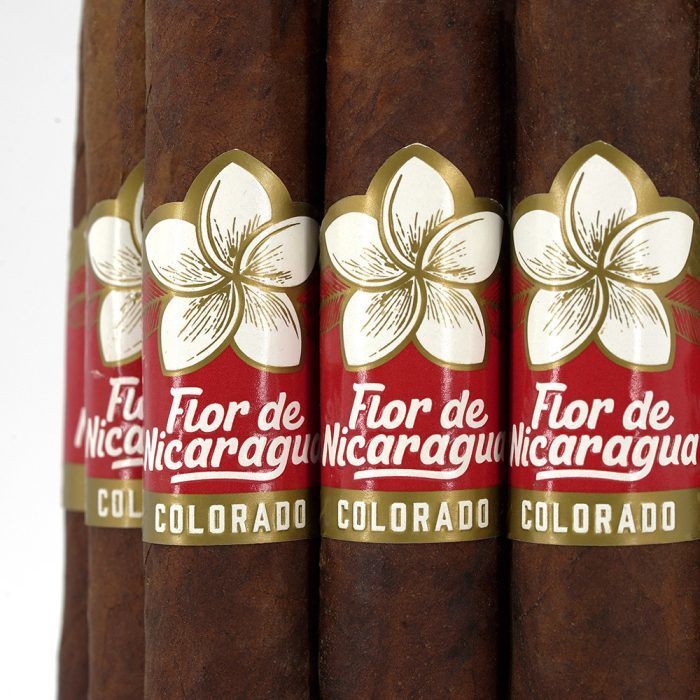 尼加拉瓜之花科罗拉多托罗<br>Flor de Nicaragua Colorado Toro - 图片 2