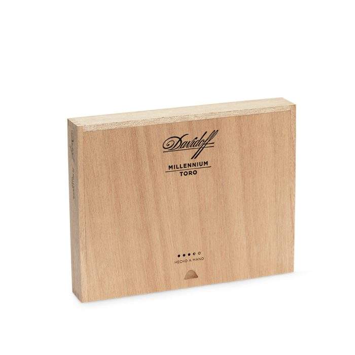 千喜托罗<br>Millennium Toro - 图片 2