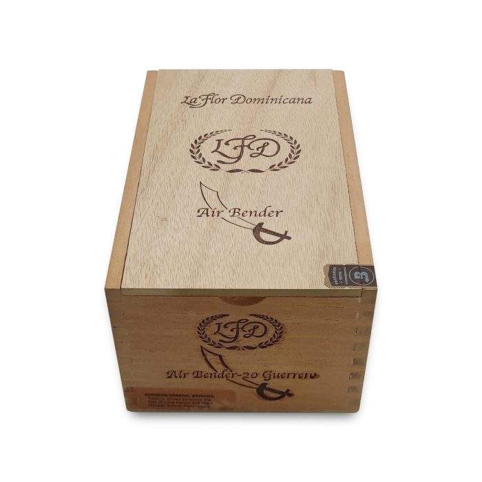 气宗战士<br>Air Bender Guerrero - 图片 2