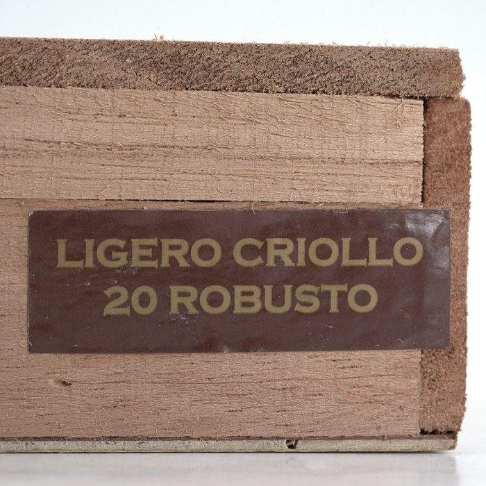 高叶 克里奥 罗伯图<br>Ligero Criollo Robusto - 图片 2