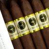 劳动者 鱼雷<br>El Jornalero Torpedo - 图片 2