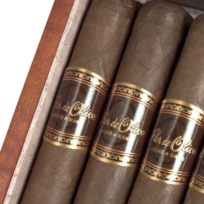 之花 丘吉尔<br>Flor De  Churchill - 图片 2