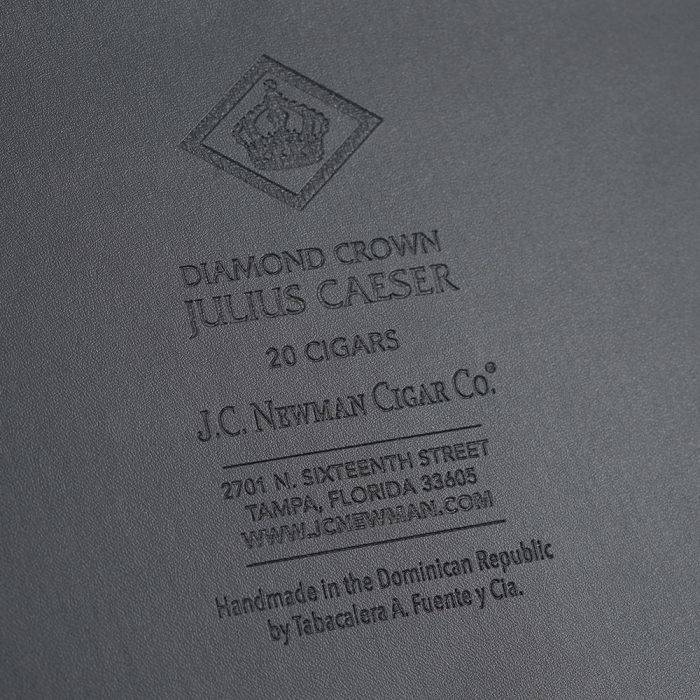 凯萨万岁<br>hail caeser - 图片 3