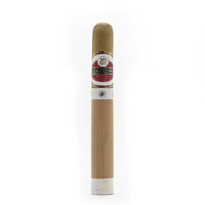 托罗<br>Toro - 图片 3