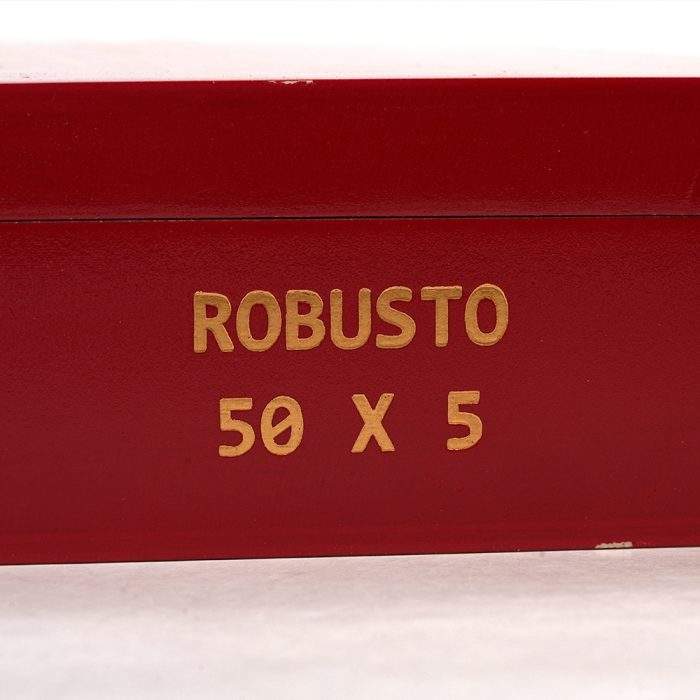 经典 罗伯图<br>Classic Robusto - 图片 3