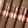 罗伯图<br>Robusto - 图片 3