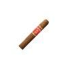 红珍宝短丘吉尔<br>Joya Red Short Churchill - 图片 3