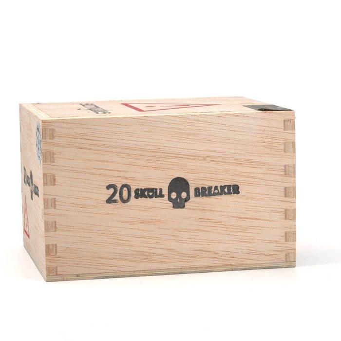 替代者 骷髅破坏者<br>Surrogates Skull Breaker - 图片 4