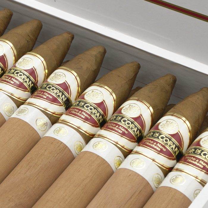 比利高<br>Belicoso - 图片 4