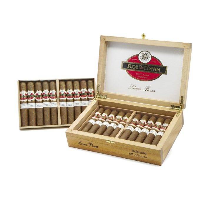 普罗罗伯图<br>Linea Puros Robusto - 图片 4