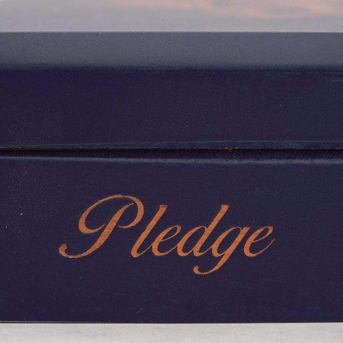 卡里洛誓言 前传<br>Carrillo Pledge Prequel - 图片 4