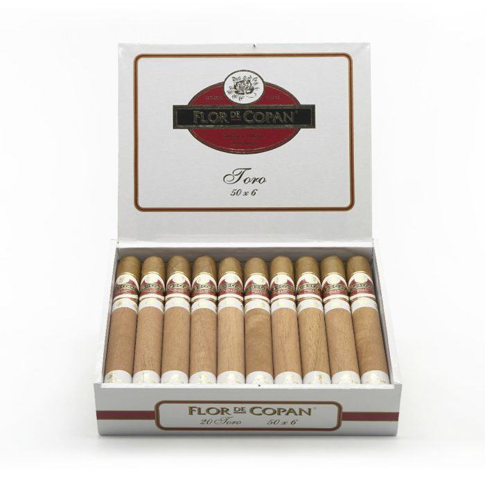 托罗<br>Toro - 图片 4