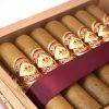 经典 天然 罗伯图 5<br>Classic Natural robusto #5 - 图片 4