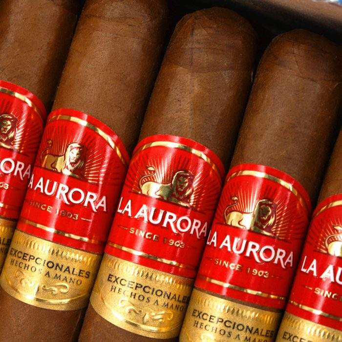 卓越 罗伯图<br>Excepcionales Robusto - 图片 5