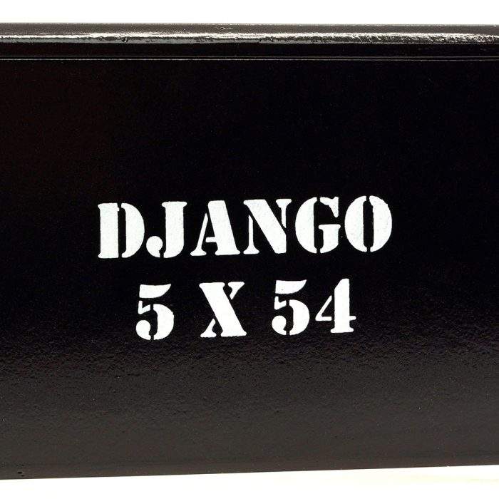 颠覆者 姜戈<br>The Upsetters Django - 图片 5