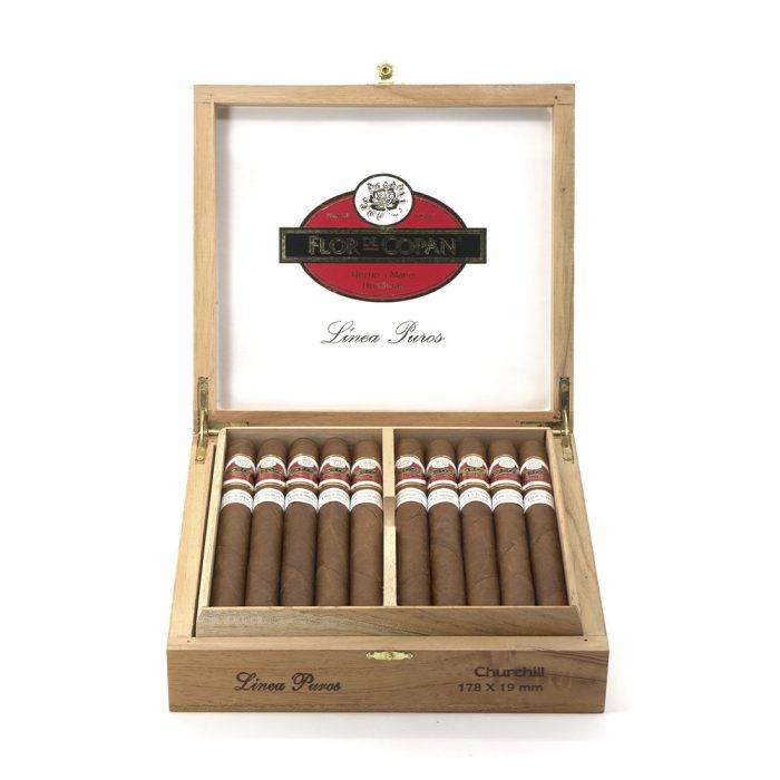 普罗丘吉尔<br>Linea Puros Churchill - 图片 5