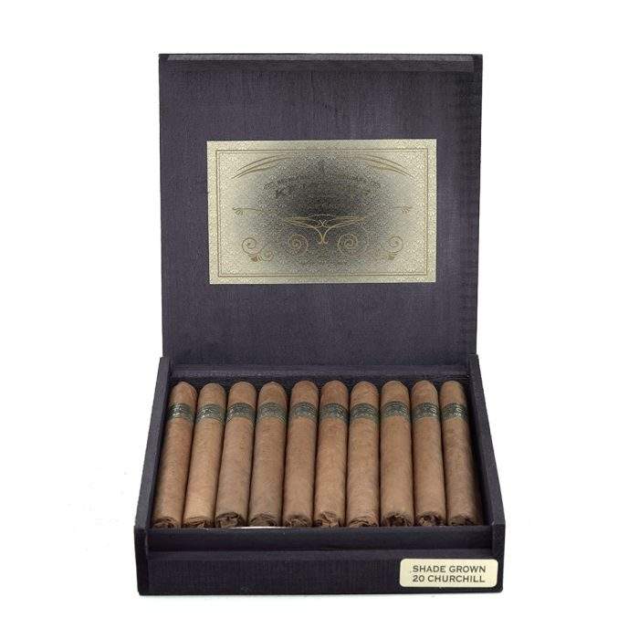 遮阳 丘吉尔<br>Shade Grown Churchill - 图片 5