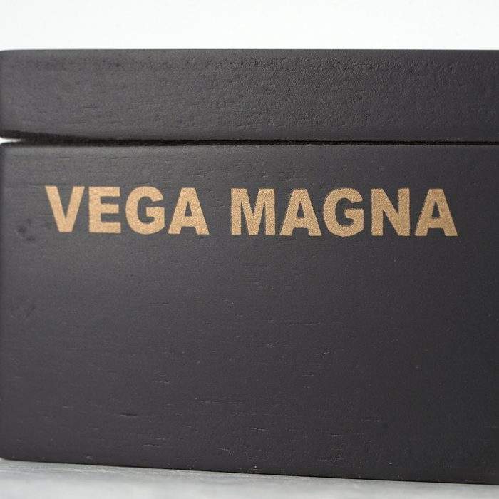 维加麦格纳 托罗<br>Vega Magna Toro - 图片 6