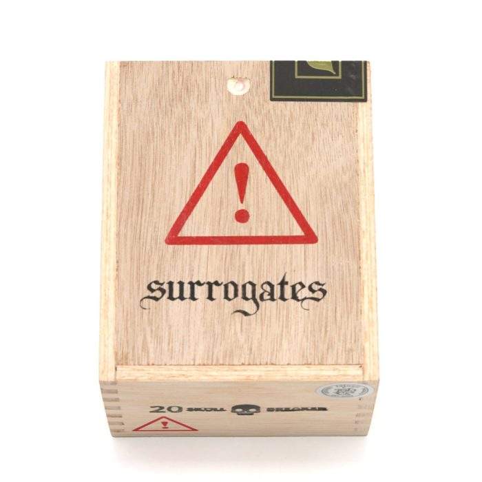 替代者 骷髅破坏者<br>Surrogates Skull Breaker - 图片 6