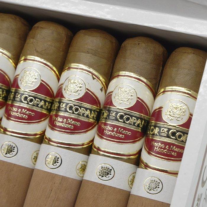 短罗伯图<br>Short Robusto - 图片 7