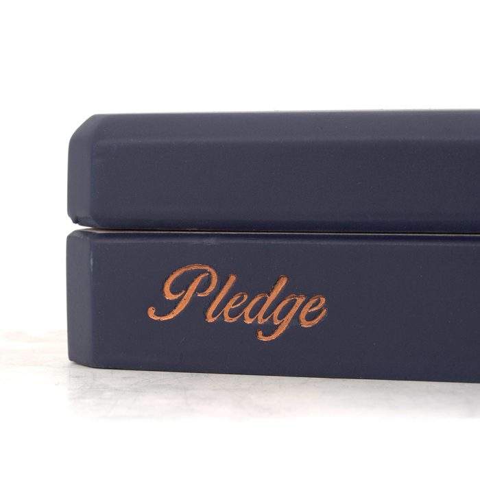 卡里洛誓言 前传<br>Carrillo Pledge Prequel - 图片 9